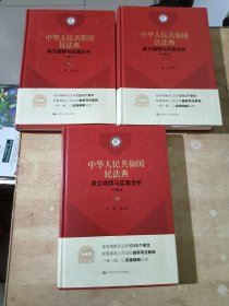 《中华人民共和国民法典》条文精释与实案全析（珍藏版）（上中下）