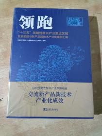 领跑:十三五战略性新兴产业重点区域重点发展前瞻与新产品新技术产业化案例汇编【全新未拆封】