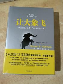 让大象飞:激进创新，让你一飞冲天的创业术