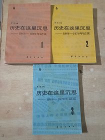 历史在这里沉思1966-1976年记实（1～3）全三册