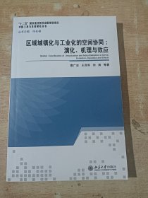 区域城镇化与工业化的空间协同：演化、机理与效应