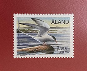 阿兰群岛2000 北极燕鸥 1全