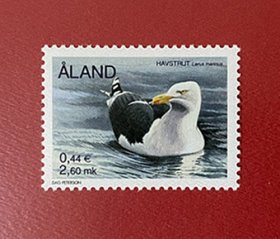 阿兰群岛2000 大黑背鸥  1全