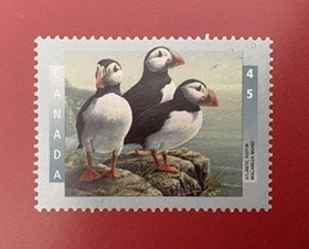 加拿大1998 大西洋红嘴海雀  1全