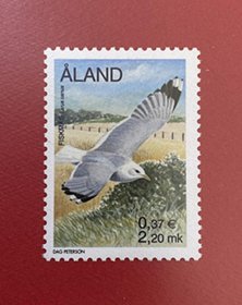 阿兰群岛2000 海鸥 1全