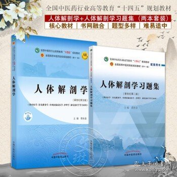 人体解剖学·全国中医药行业高等教育“十四五”规划教材