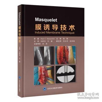 Masquelet 膜诱导技术