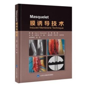 Masquelet 膜诱导技术