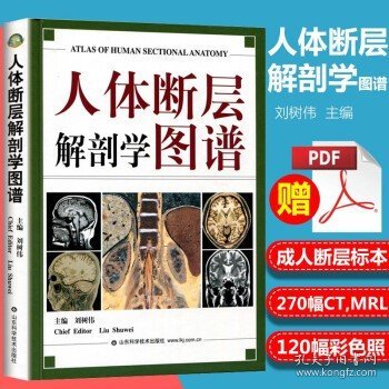 人体断层解剖学图谱