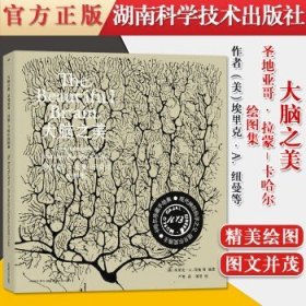 【中文版】大脑之美：圣地亚哥·拉蒙-卡哈尔绘图集现代神经学之父的传世之作湖南科学技术出版社