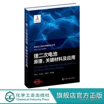 先进化工材料关键技术丛书--锂二次电池原理、关键材料及应用