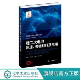 先进化工材料关键技术丛书--锂二次电池原理、关键材料及应用