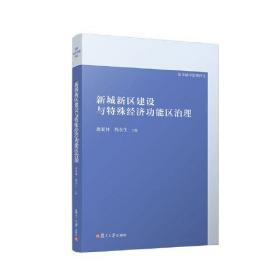 新城新区建设与特殊经济功能区治理