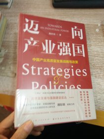 迈向产业强国：中国产业高质量发展战略与政策（全景式阐释中国产业高质量发展图景，一书读懂产业强国建设的战略、路径与政策！）