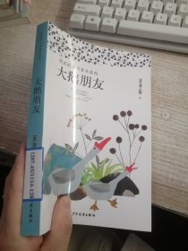 弄泥的乡间童年系列：大鹅朋友