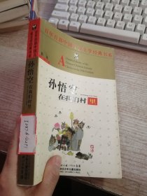 百年百部中国儿童文学经典书系：孙悟空在我们村里（馆藏）
