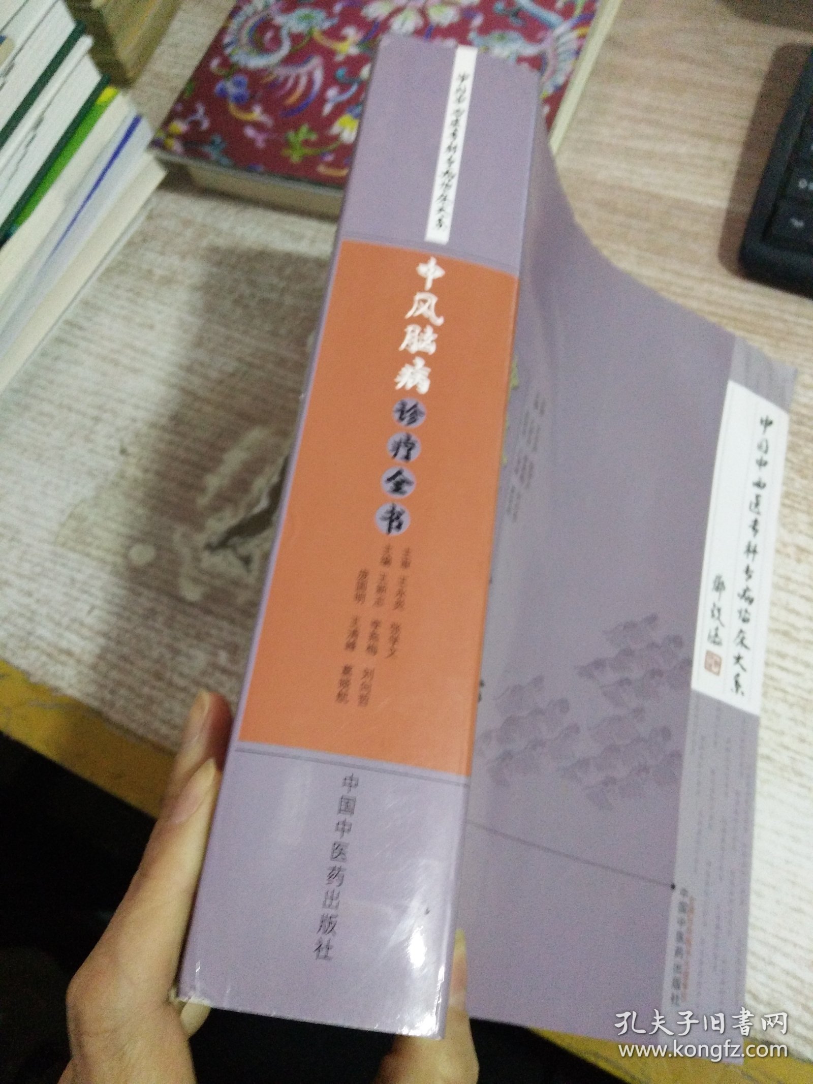 中国中西医专科专病临床大系：中风脑病诊疗全书