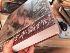 中国消防百年图录