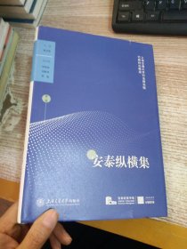 安泰纵横集(第二辑)——上海交通大学行业研究院行研时论精选