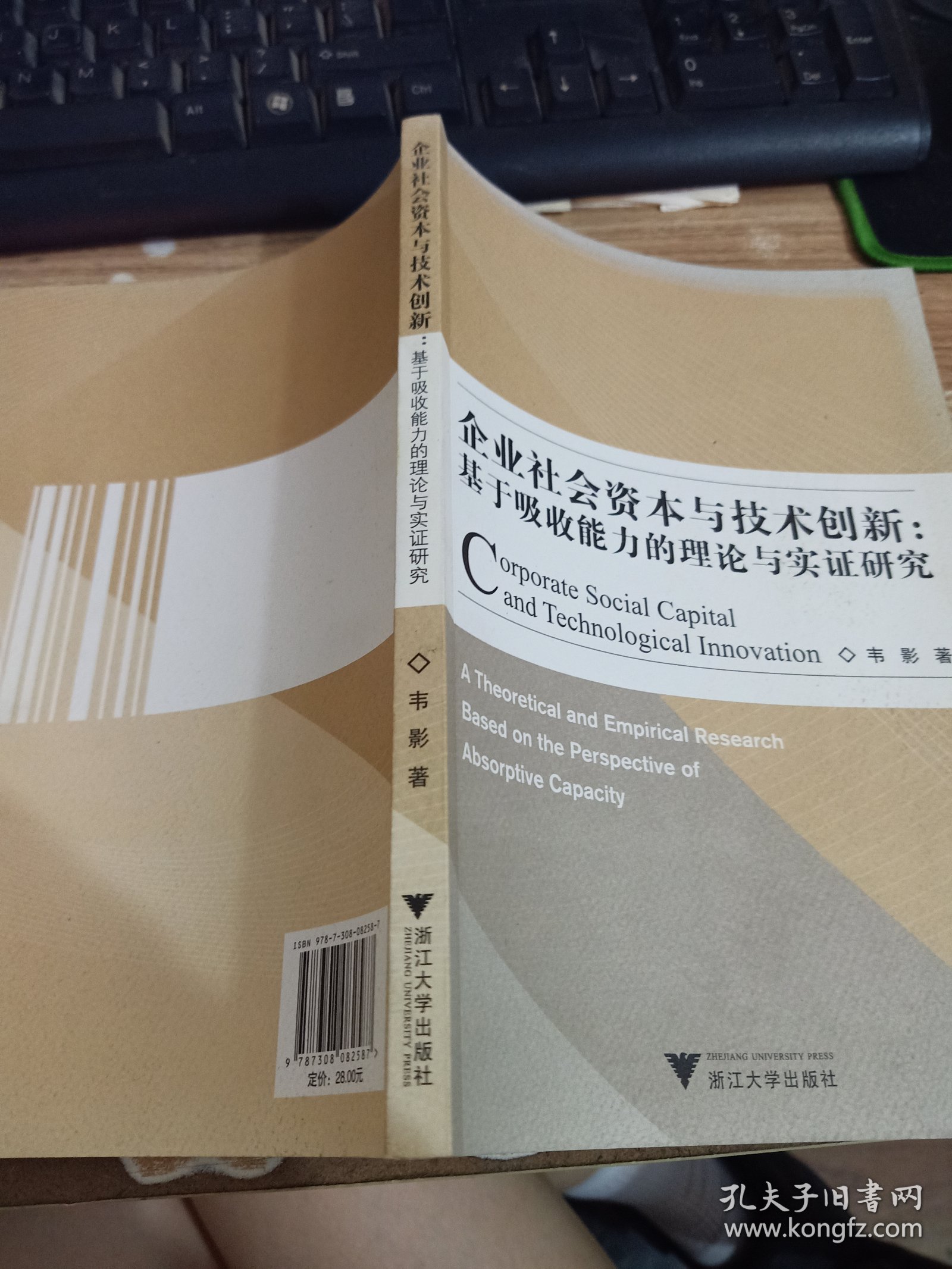 企业社会资本与技术创新：基于吸收能力的理论与实证研究