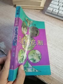 万能梅花制:叫牌中的逻辑