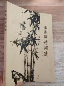王養(yǎng)浩詩詞選