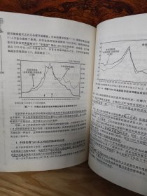 大衰退：如何在金融风暴中幸存和发展