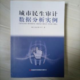 城市民生审计数据分析实例