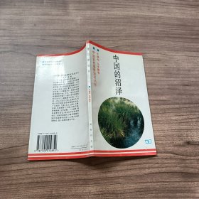 中国的沼泽