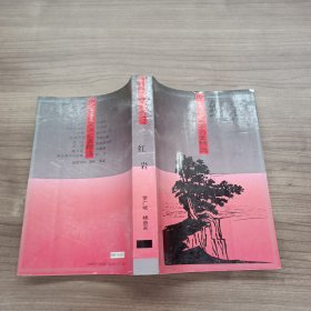 中国当代文学名著精选红岩.