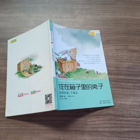 住在箱子里的兔子（