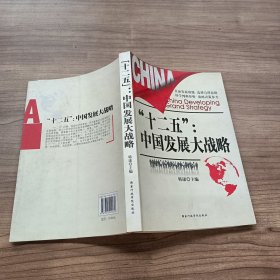 “十二五”：中国发展大战略