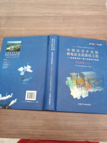 中国百万千瓦级核电自主化依托工程——岭澳核电站二期工程建设与