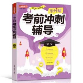 小升初考前冲刺辅导·语文 2021年修订版 小考专用 重点难点考点专项辅导，临考复习好帮手