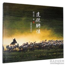 遣镜骋怀