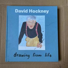 David Hockney 当代艺术波普艺术 大卫霍克尼艺术绘画作品集