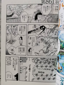 日文原版漫画鸟面包31初刷講談社国内现货可拍とりぱん(ワイドKC)