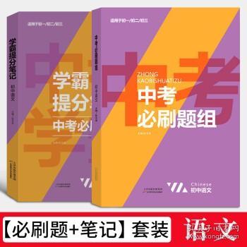 中考必刷题复习资料初三中考备战 语文【笔记+刷题，共2本】