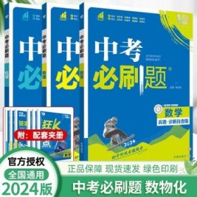 2024版中考必刷题 中考复习资料 数物化（3本）