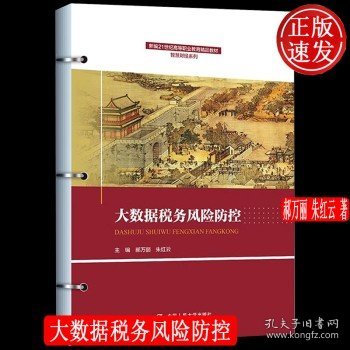 大数据税务风险防控（新编21世纪高等职业教育精品教材·智慧财经系列）