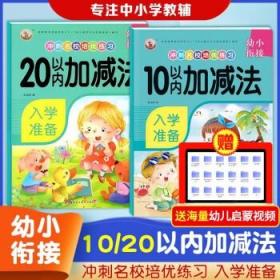 5以内加减法/幼小衔接冲刺名校培优练习