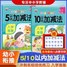 5以内加减法/幼小衔接冲刺名校培优练习