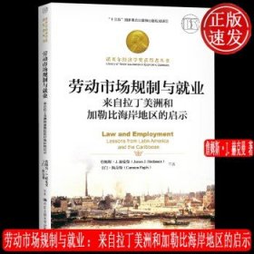 劳动市场规制与就业：来自拉丁美洲和加勒比海岸地区的启示（；“十三五”国家重点出版物出版规划项目）