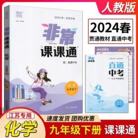 2024春通成学典非常课课通九年级 化学 九年级下册 人教版