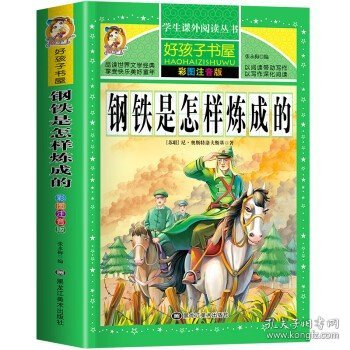 钢铁是怎样炼成的/新课标学生课外必读丛书