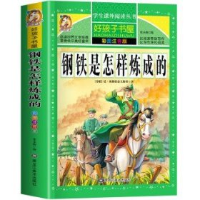 钢铁是怎样炼成的/新课标学生课外必读丛书