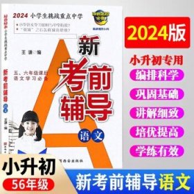 2024新版小升初考前辅导  语文