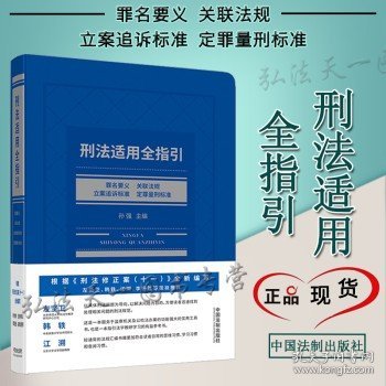 刑法适用全指引：罪名要义、关联法规、立案追诉标准、定罪量刑标准