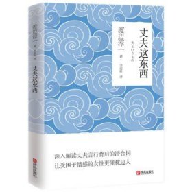 现代当代言情小说畅销书籍JST 丈夫这东西（单本）