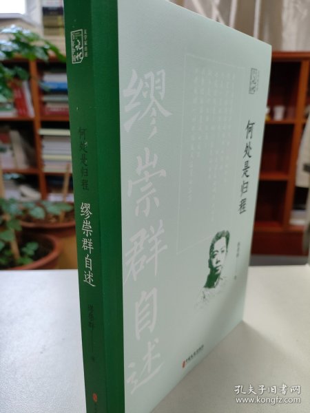 何处是归程：缪崇群自述（百年中国记忆.文学家自述）